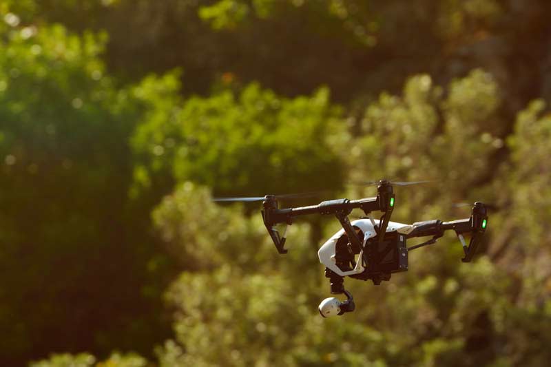 Side view of airborne drone quadcopter flying near trees.